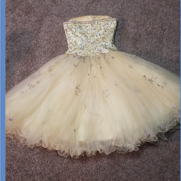 Prom Dress - Picture 3 of 4